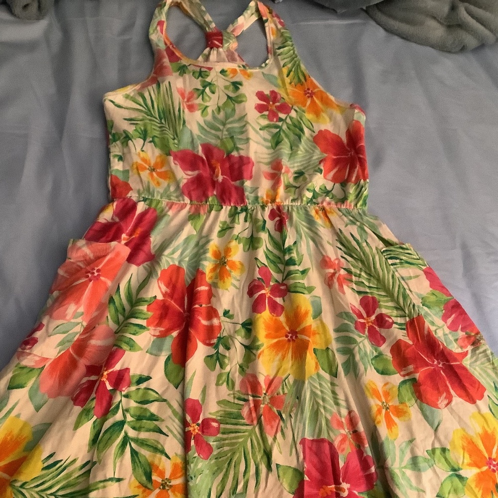 The childrens place girls dress